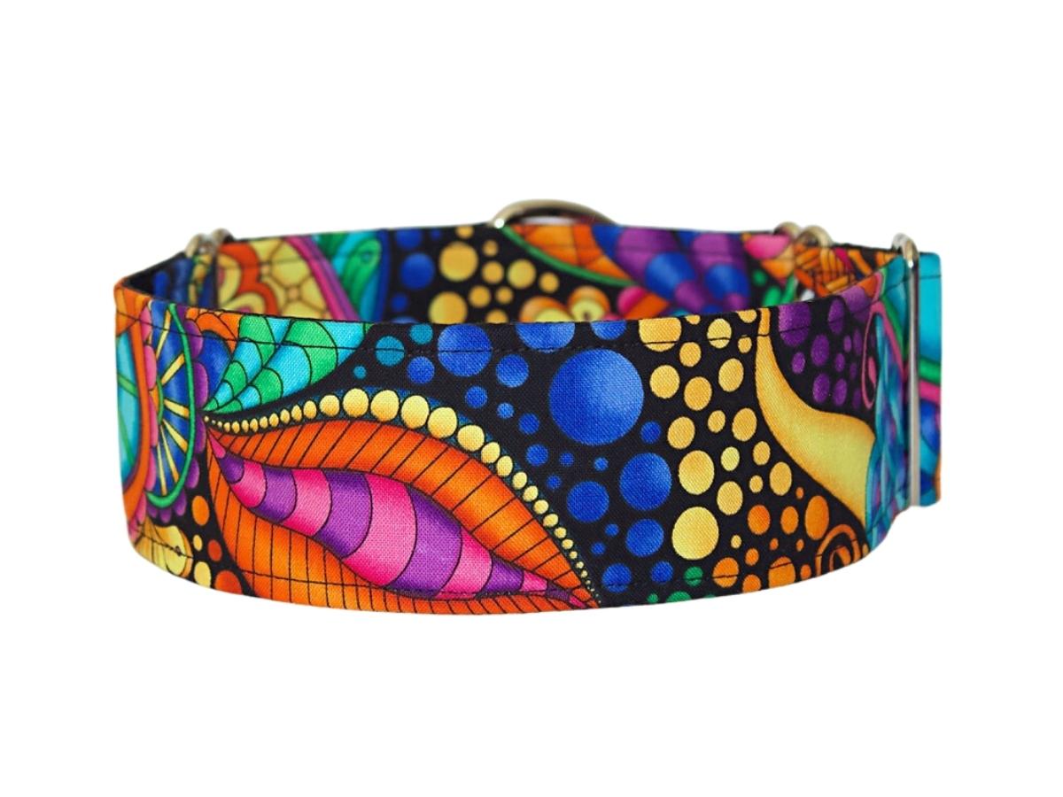 Down the Rabbit Hole Dog Collar
