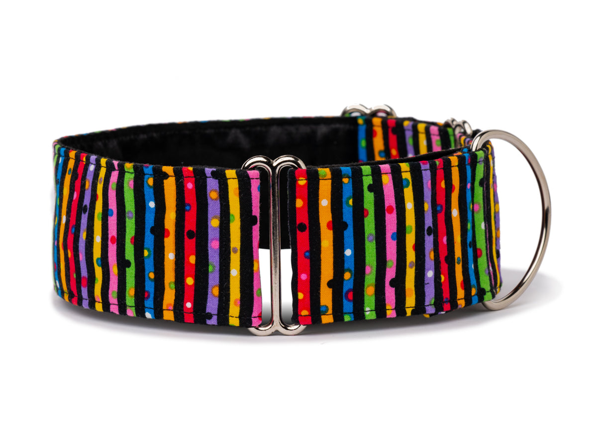 Bright colorful stripes and dots look just like confetti - perfect for the party loving pooch!