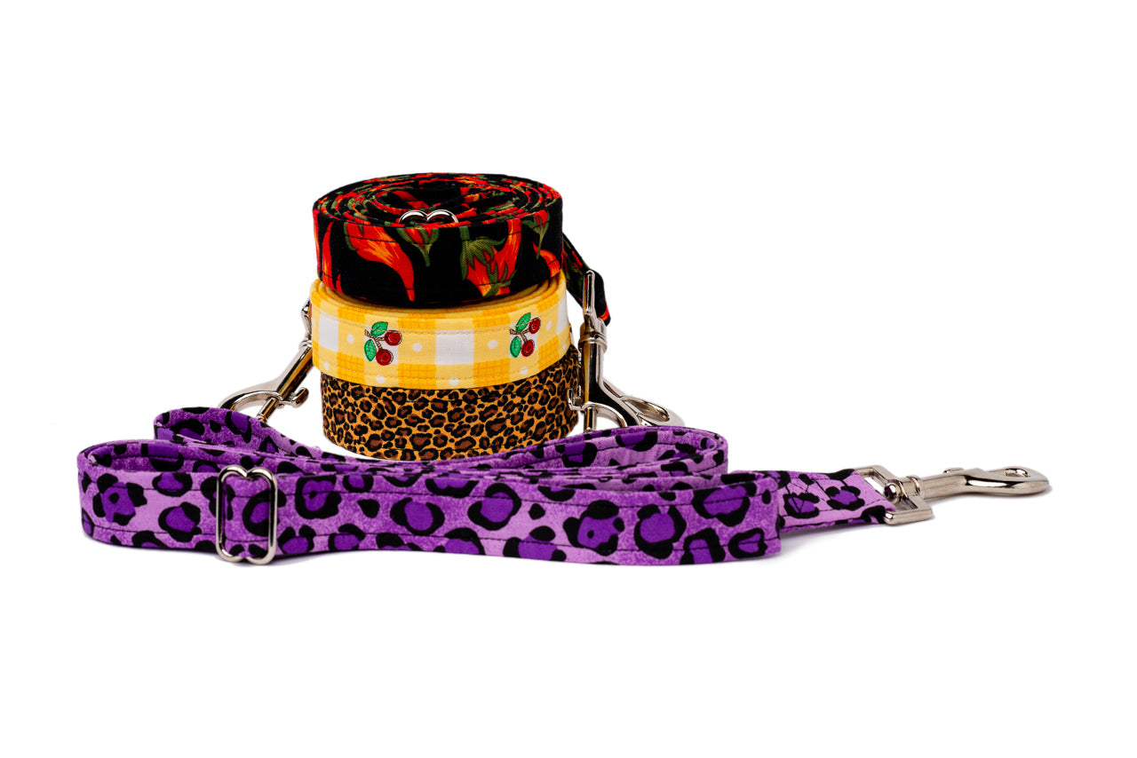 Dogma London Matching Leash