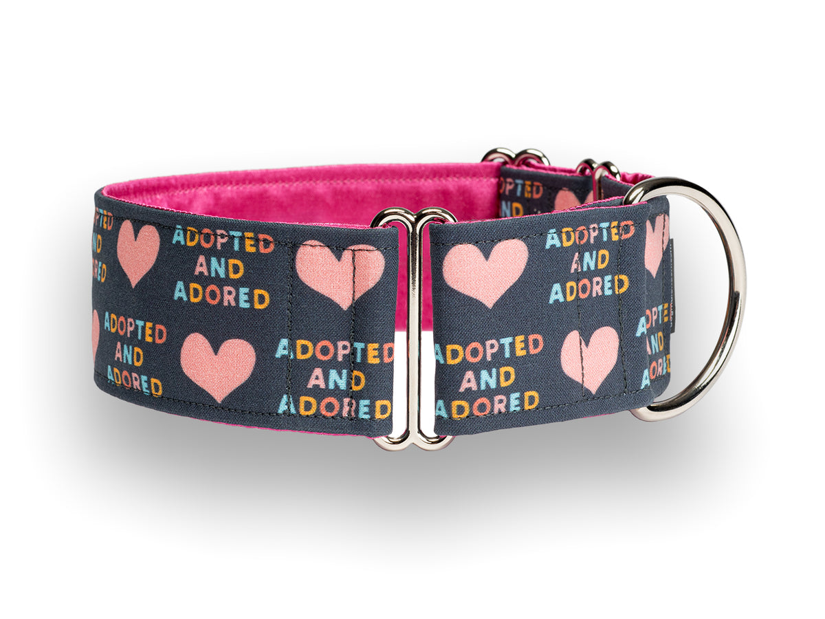 Your pup can show they are adopted and adored in this sweet grey collar with pink hearts and colorful letters. Available in 1, 1.5, and 2 inch widths.