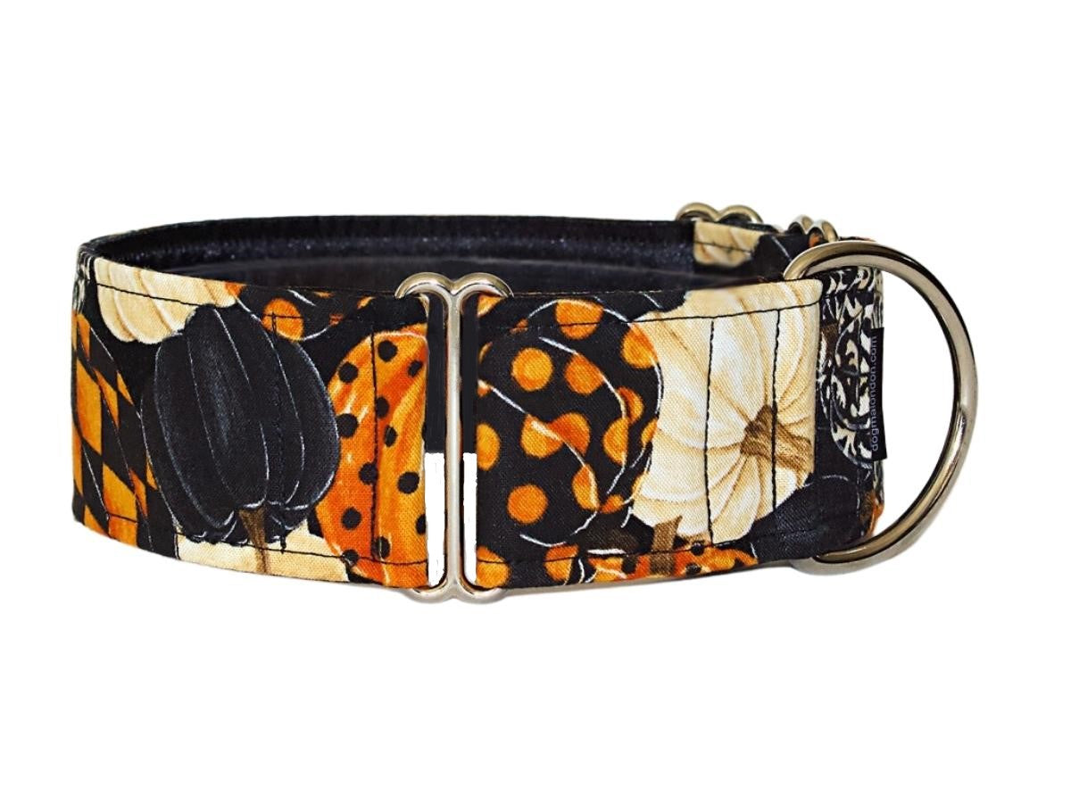 Pretty painted pumpkins in Halloween shades will dress up any party-loving pooch!