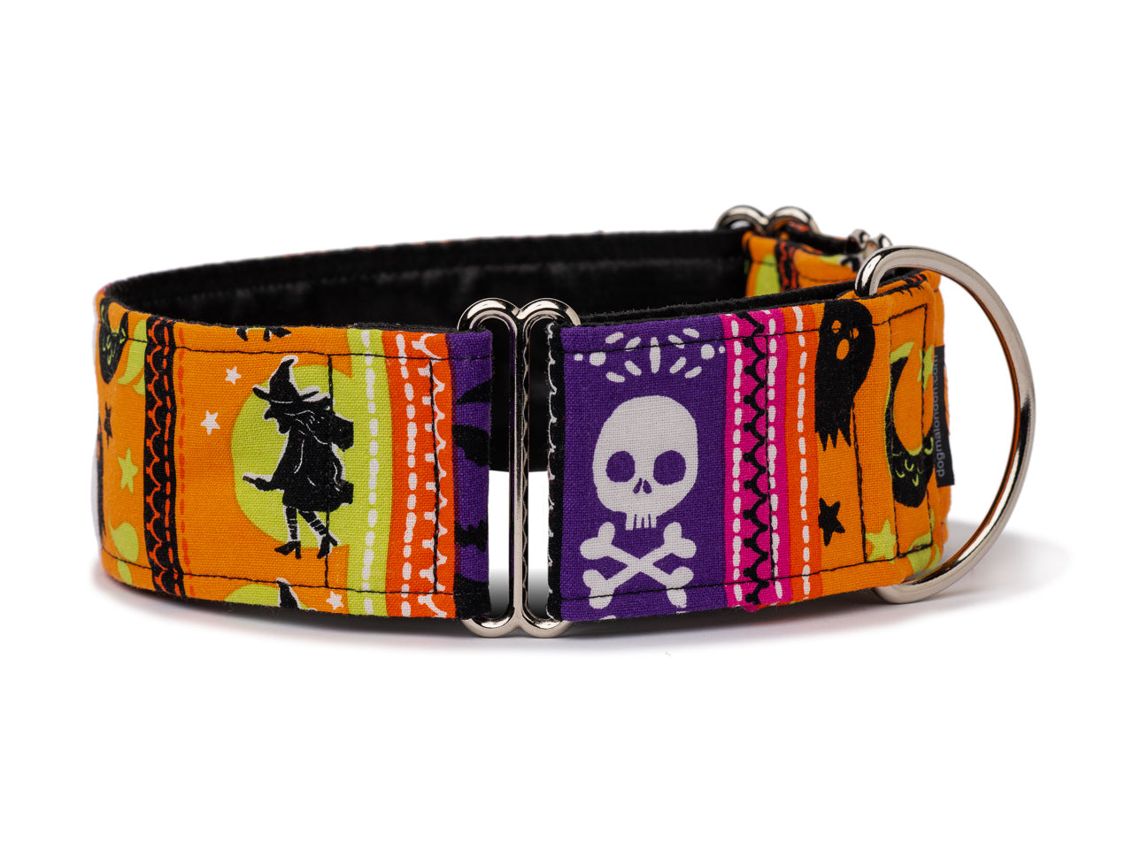 B'Witched Dog Collar