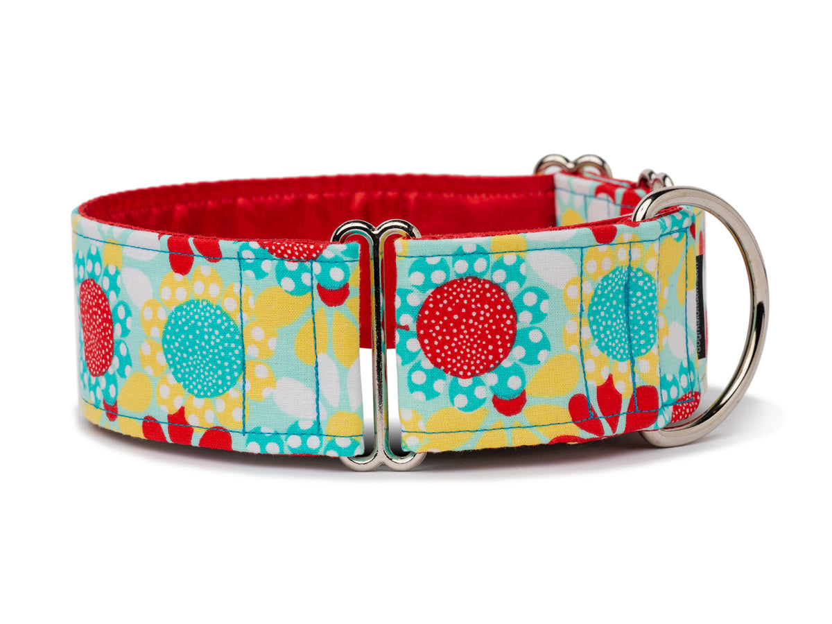 Brighten up your pup's day with these crazy daisies in bright bursts of yellow, blue, and red! 