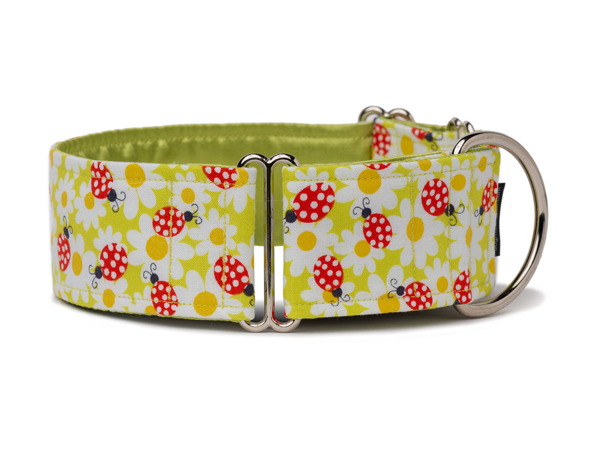 Your pooch will look cute as a bug in this pretty green collar covered with flowers and bright red lady bugs!
