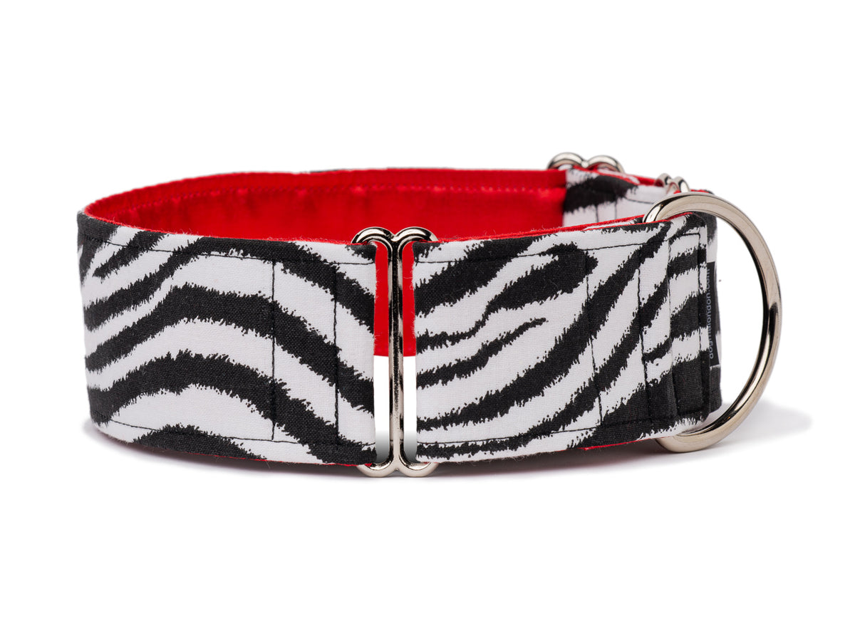 Striking black and white zebra print collar is the perfect accessory for your fashionable four-legged wild child!