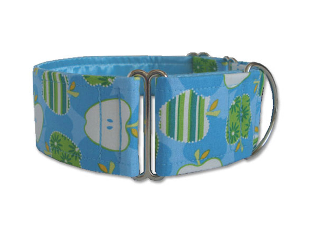 Cheerful apples in green stripes on pretty blue will put a spring in your pup's step any time of the year!